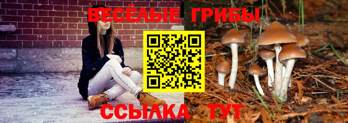 Галлюциногенные грибы GOLDEN TEACHER  Вход с VPN  Еманжелинск 