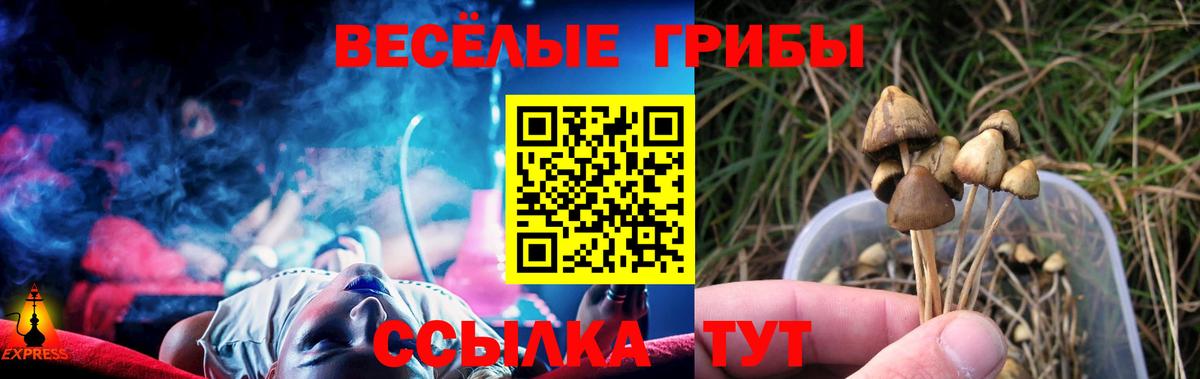 Псилоцибиновые грибы мицелий Еманжелинск